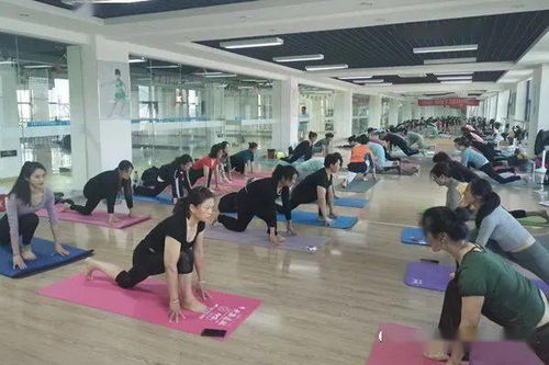 大丰区举办2020年健身瑜伽项目三级社会体育指导员培训