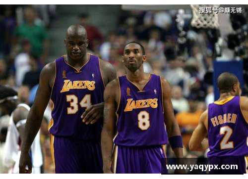 NBA白边伤情分析与未来复出展望